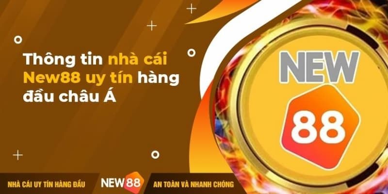 New88 Các lưu ý khi chơi tại nhà cái New88
