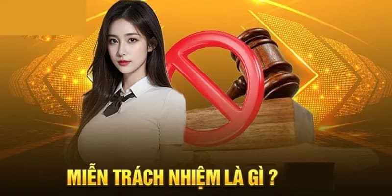 Miễn trừ trách nhiệm Vai trò của miễn trừ trách nhiệm