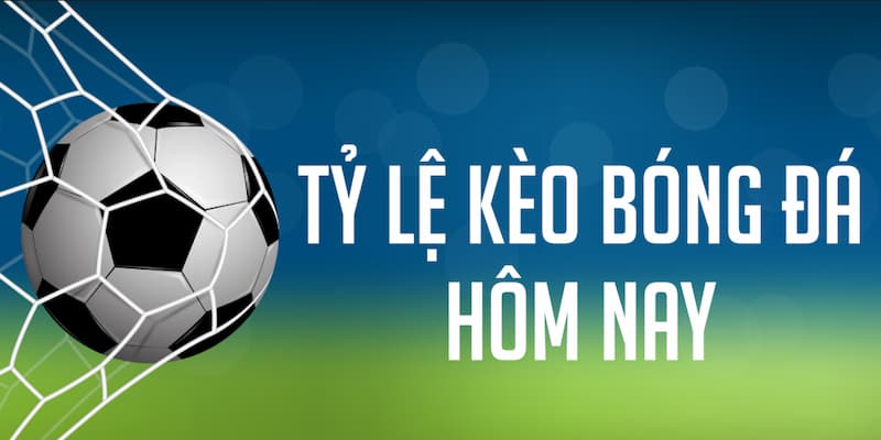 Tỷ lệ kèo nhà cái Vai trò của tỷ lệ kèo nhà cái