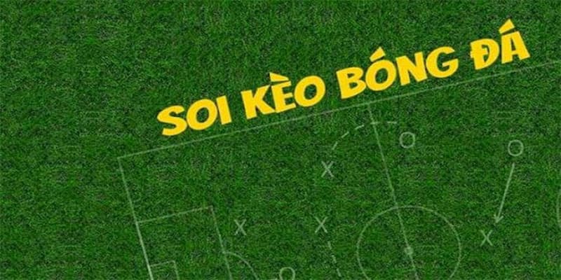 Kèo nhà cái Vì sao kèo nhà cái hấp dẫn